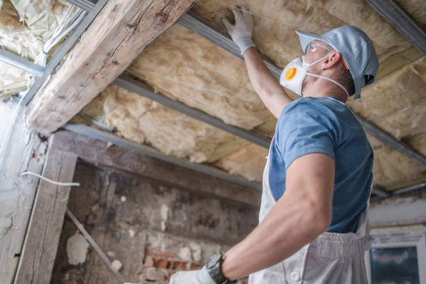 Best Insulation Maintenance and Repair in Bullard, TX